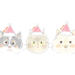専用ページ