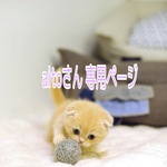 【aitoさん 専用ページ】