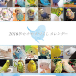 2016年 セキセイづくし 卓上カレンダー（セキセイインコ）