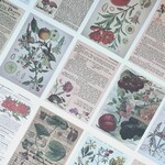 [PM031]　レトロ調デザインペーパー　botany