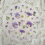 押し花素材　No899　パープルの小花のミックスセット