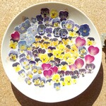 押し花　 シール　お得！本物！ビオラ　薔薇　紫陽花　100枚　NO.493