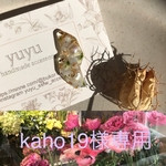 kaho様専用
