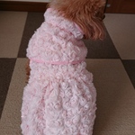 ふわふわワンピとケープのセット