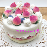 🍓🫐苺とブルーベリーケーキ(小物入れ) 染12