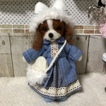 お出かけキャバリアちゃん