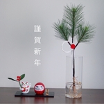  めでたい枯れない松❁❀✿✾縁起物根付き1本松❁❀✿✾贈り物