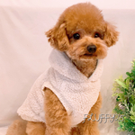 犬服 両面ふわもこ ❄️ぽかぽかパーカー❄️