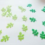 再販3＊丸い葉っぱ＊100枚