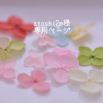 atoshi2m様　専用ページ