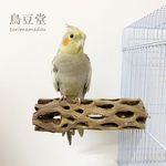 鳥 とまり木 カクタスパーチ（サボテンのとまり木）直径5.5cm前後／17cm 小型インコ・中型インコ