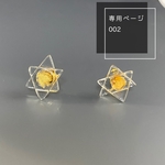 専用ページ002