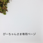 ぴーちゃんさま専用ページ