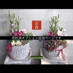nao8322さま売約済 ＊オプション追加分＊