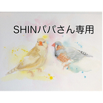 SHINパパさん専用