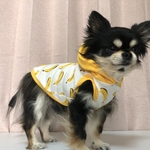 【SALE】ダックス用🐕犬服🐆バナナ柄がかわいい❤️バナナタンクトップ☺️❤️