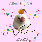 alice-blyさま　DEC便　1/2