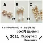 【送料無料】happybag3000円　福袋　選べる福袋