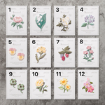 【2枚選ぶ】優雅なお花の刺繍ワッペン アップリケ　アイロン　繊細　フラワー