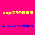 ★papi299様専用商品★　セミオーダー　筆記体　ネームワッペン　アップリケ　2枚販売