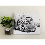 アートパネル 「white tiger 」 インテリアパネル  ホワイトタイガー  キャンバスパネル