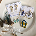 中身の見えるHappy Bag 2021【ピアスA】