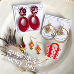 中身の見えるHappy Bag 2021【ピアスD】