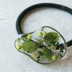 botanical elastic🌿clear゜.・