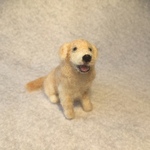 フェルト犬　ゴールデンレトリーバー　ノエルさん　<MW338>