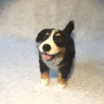 フェルト犬　バーニーズ・マウンテンドッグ　ドンさん　<MW343>