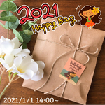 【おひとり様1点限り/送料無料】2021 HOLO HOLO 福袋