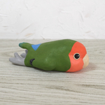 ぺたんこインコ コザクラインコ/ボタンインコ 