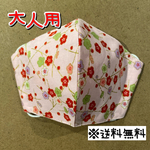 【送料無料】☆ハンドメイドマスク大人用☆