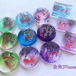 藤浪の金魚～琉金