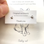 silver りんごピアス　樹脂ピアス