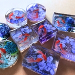 波紋の金魚～ガラスの紫陽花（長方形）
