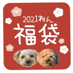 インスタわん友💖ハルウララママ様専用