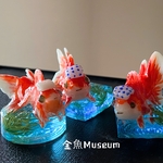 温泉金魚～乳頭温泉