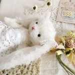 1月1日特別価格☆ロップイヤーホワイトうさぎ🐇🐇