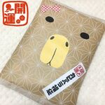 【福袋】何が届くかお楽しみ！！開運カピバラ福袋2021