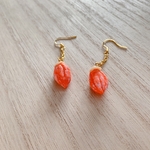 干し柿ピアス