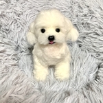 羊毛フェルト　マルチーズ