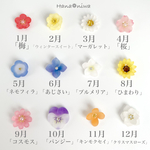 四季折々miniフラワー イヤリング/ピアス
