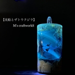【沈船とザトウクジラ】