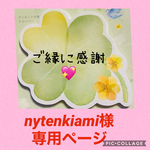 ⭐️nytenkiami様専用⭐️☆お仕事でも使える＊白無地の普通サイズマスク