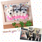 yukitty… 様専用♡額縁わんこ『うちの子オーダー』(mii wool&wool)