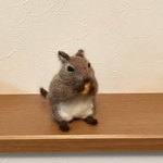 デグー