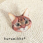 猫(アメリカンショートヘア)＊ブローチ
