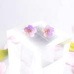 和桜のノンホールピアス《菫色桜》