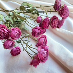 ローズカラーの薔薇 のドライフラワー